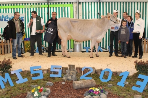 Elégante (Sagittaire) Miss Cantal Brune 2013