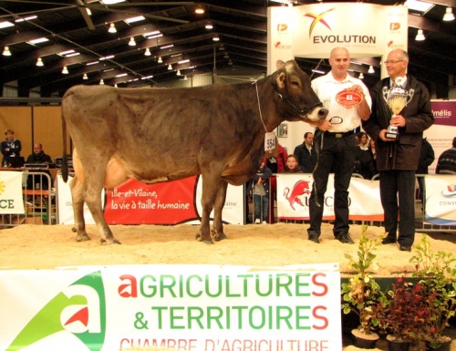 Foire de Rennes : Darlène (Etvei) en vedette