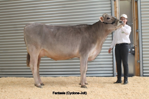 Fantasia (Cyclone) Miss Lozère 2013