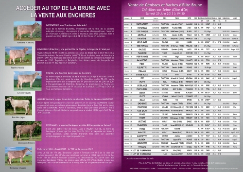 Liste des animaux à la vente à Châtillon