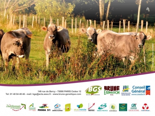 Catalogue Concours National et Vente – Châtillon sur Seine