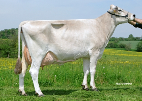 Nouvelle offre Taureaux 2013-2014