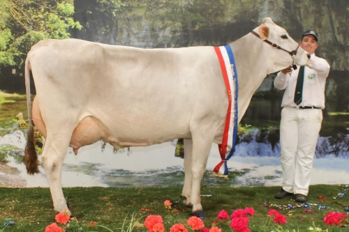 Palmarès du concours National 2013