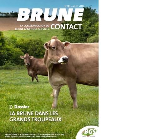 Le catalogue BRUNE CONTACT est en ligne