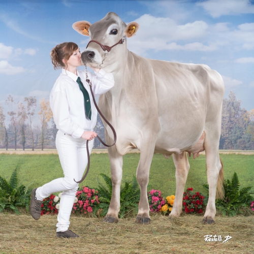 CREATION, CACAO, CICERON : 3 nouveautés françaises au catalogue