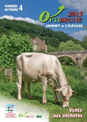 Catalogue de la vente Opti&rsquo;Brune en ligne