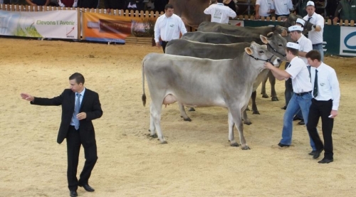 Liste des animaux en concours au Sommet