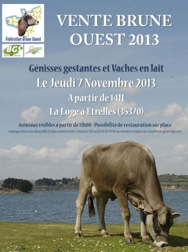 Liste des animaux à la vente d&rsquo;Etrelles le 7 novembre
