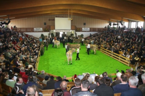 Vente aux enchères européennes samedi 29 mars à Kempten