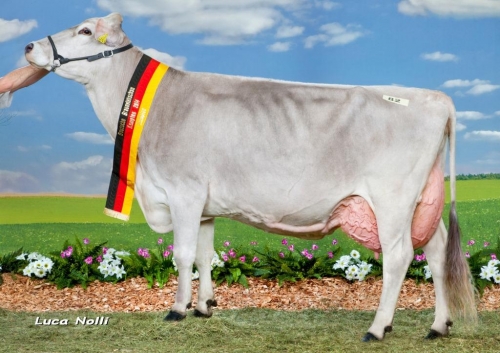 La Brune allemande sous les projecteurs !