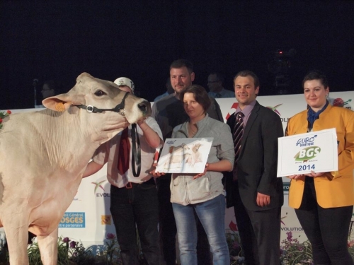 Active (Mascot) Champione adulte à Epinal