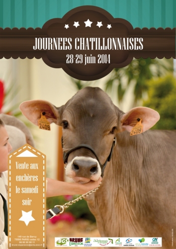 Catalogue de la vente à Châtillon