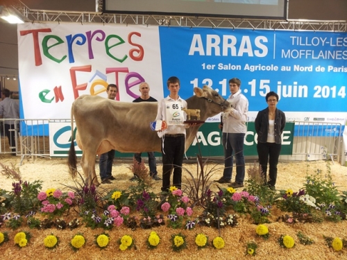 1er Concours Brun à Terres en Fête !