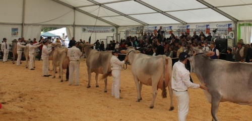 Programme complet des journées Châtillonnaises