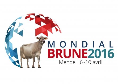 Mondial BRUNE 2016 : ça se passe aussi sur le web !