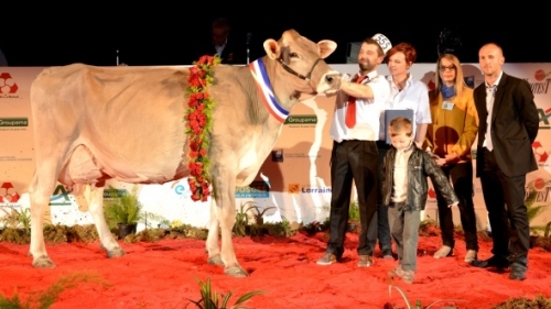 Eurogénétique : Edelweiss grande championne
