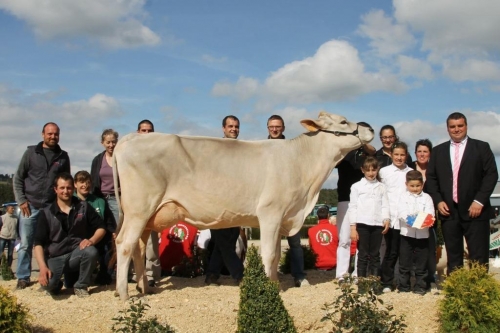 Galante GP (Jongleur) Grande Championne à Aumont