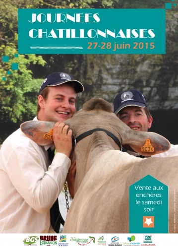 Catalogue de la vente à Chatillon en ligne