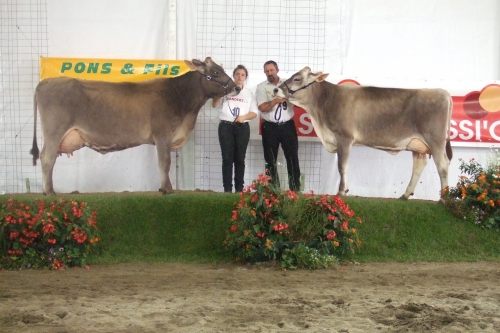 Concours Brune aux Pyrénéennes