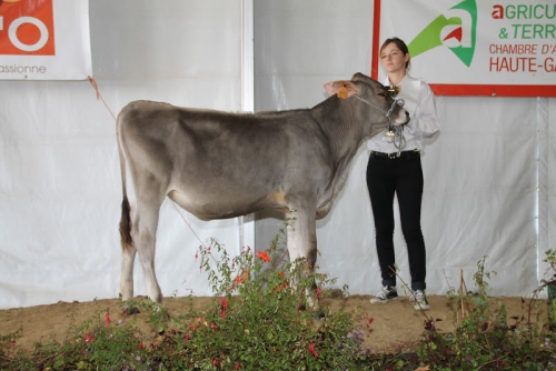 LAITUE (HARMONICA) Championne aux Pyrénéennes