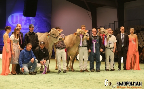 Beaux résultats pour les Brunes françaises à la Swiss Expo!