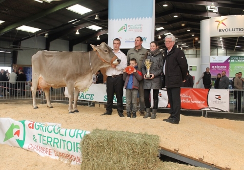 FACETTE, Championne à la Foire de Rennes (35)