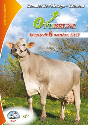 Catalogue de la vente Optibrune