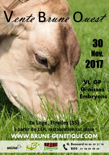 Vente Brune Ouest 2017, le 30 novembre !