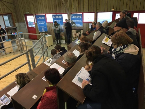 Retour sur la Vente Brune Ouest 2018