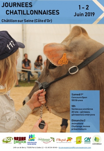 Vente des Journées Châtillonnaises 2019 – Un trésor accessible à tous