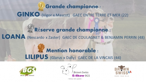 GINKO grande championne du Brown Swiss E-Show BGS