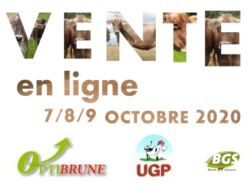 La vente OPTIBRUNE-UGP maintenue