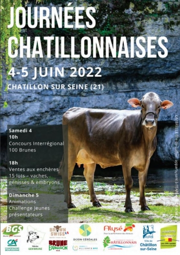 Vente des Journées Chatillonnaises 2022 – Catalogue en ligne