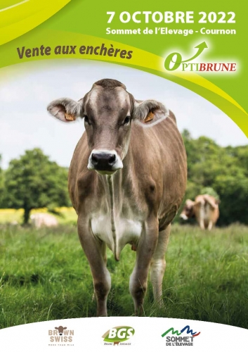 Vente OPTIBRUNE 2022 – Découvrez le catalogue !