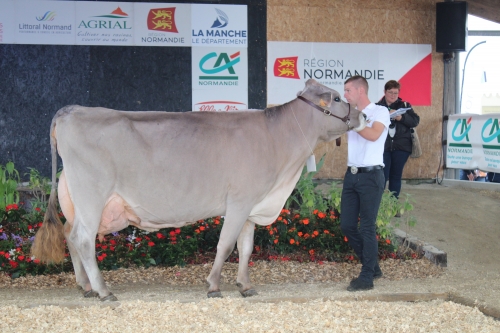 JOYEUSE sacrée grande championne au Festival de l’élevage à Lessay dans la Manche