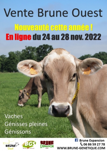 Vente Brune Ouest en ligne !