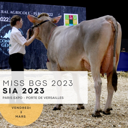 Salon international de l&rsquo;Agriculture 2023 : ouverture des inscriptions !