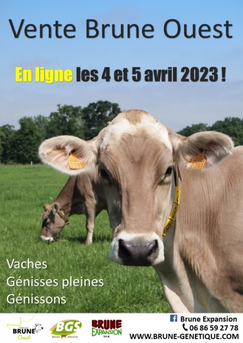 Une nouvelle Vente Brune Ouest en ligne les 4 et 5 avril