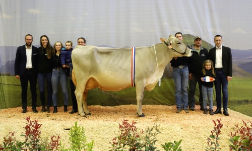 LOANA grande championne du concours interrégional de la Fédération Opti&rsquo;Brune
