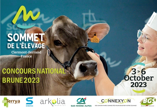National BRUNE 2023