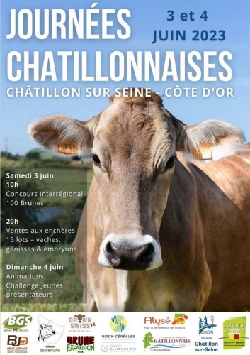 Vente des Journées Chatillonnaises 2023 – Découvrez les lots proposés !