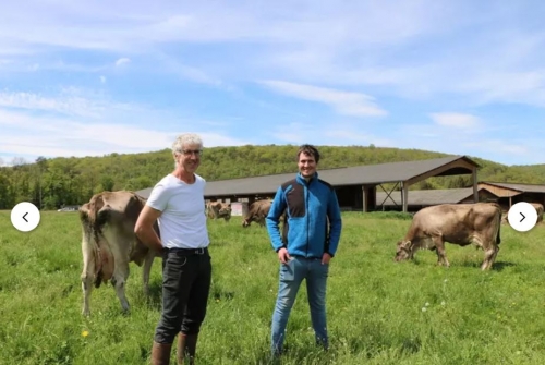 GAEC Colson (21) « La brune, la transformation et la viande forment notre trio gagnant »