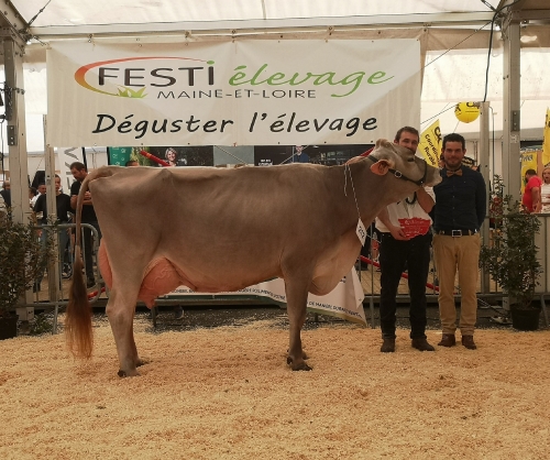 LBB LALICE remet ça au Festi’élevage 2023