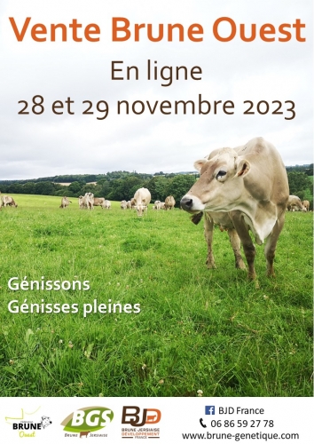Vente Brune Ouest 2023 : en ligne les 28 et 29 novembre !