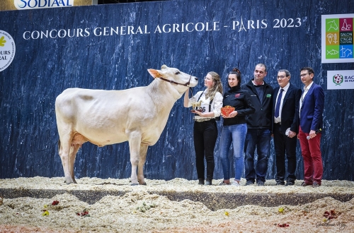 SIA 2024 : découvrez les animaux sélectionnés !
