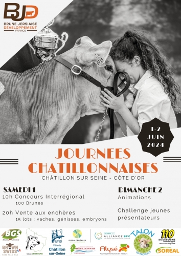 Vente des Journées Chatillonnaises 2024 – Découvrez les lots proposés !