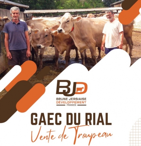 Vente de troupeau – GAEC DU RIAL (12)