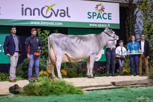 HUTILE en dixième lactation remet ça au SPACE, avec un grand cru pour 2024 !