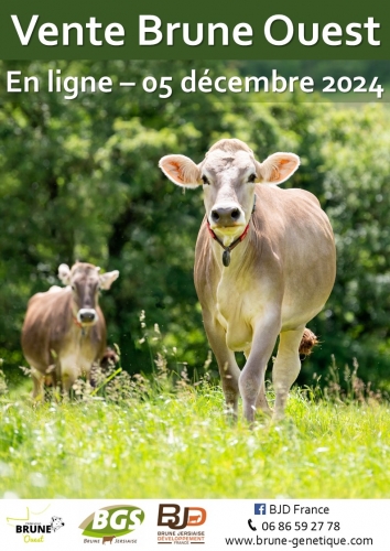 Vente Brune Ouest 2024 : un catalogue de haut standing !