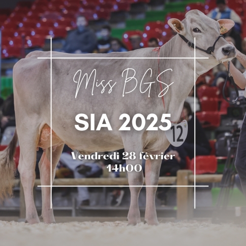 Salon international de l&rsquo;Agriculture 2025 : ouverture des inscriptions !